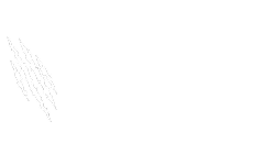 БАРС